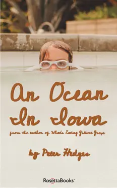 an ocean in iowa book cover image