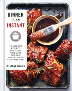 dinner in an instant book cover image