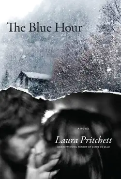 the blue hour book cover image