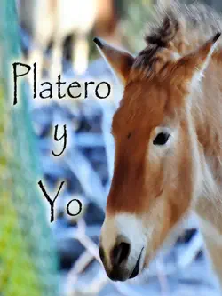 platero y yo book cover image