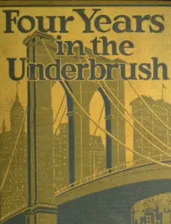 four years in the underbrush book cover image