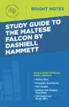 Study Guide to The Maltese Falcon by Dashiell Hammett sinopsis y comentarios