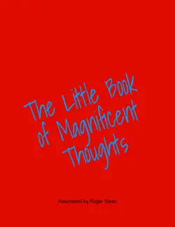 the little book of magnificent thoughts book cover image