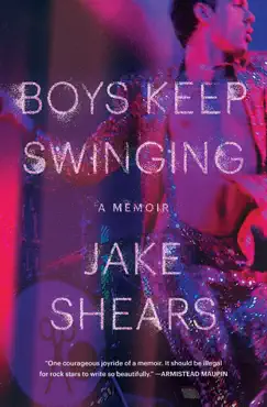 boys keep swinging book cover image
