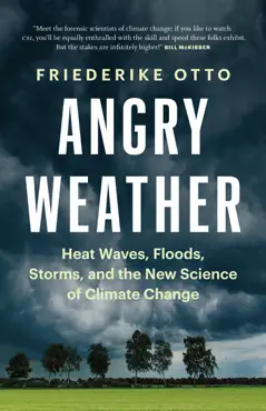 angry weather book cover image