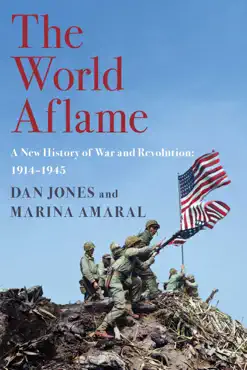 the world aflame book cover image