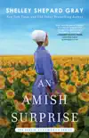 An Amish Surprise synopsis, comments