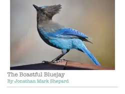 the boastful bluejay book cover image