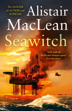 seawitch book cover image