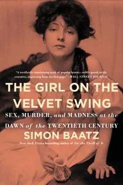 the girl on the velvet swing book cover image