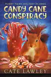 Candy Cane Conspiracy synopsis, comments