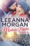 Montana Brides Boxed Set (Books 1-3) book summary, reviews and downlod