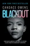 Blackout book summary, reviews and download