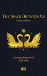 The Space Between Us e-book