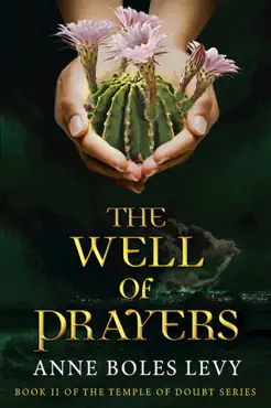 the well of prayers book cover image