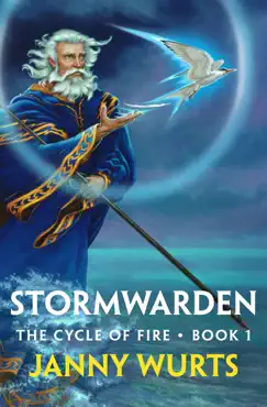 stormwarden book cover image