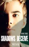 Shadows Deceive synopsis, comments