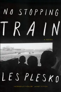 no stopping train book cover image