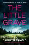 The Little Grave synopsis, comments