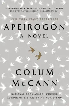 apeirogon: a novel book cover image