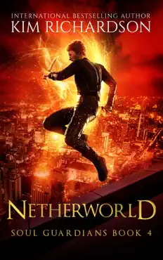 netherworld book cover image