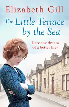 the little terrace by the sea book cover image
