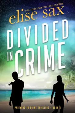 divided in crime book cover image