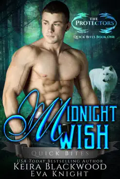 midnight wish book cover image