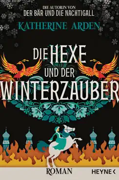 die hexe und der winterzauber book cover image