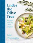 Under the Olive Tree synopsis, comments