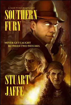 southern fury book cover image