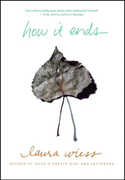 how it ends book cover image