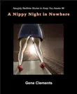 A Nippy Night in Nowhere synopsis, comments