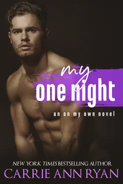 my one night book cover image