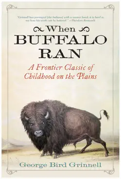 when buffalo ran book cover image