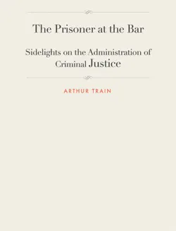 the prisoner at the bar book cover image