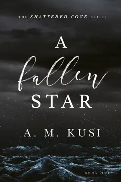 a fallen star - a small town brother's best friend romance novel book cover image