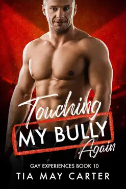 touching my bully again book cover image