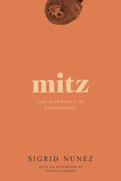 mitz book cover image