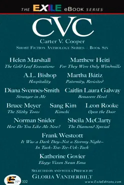 cvc6 book cover image