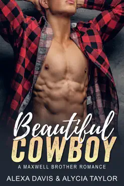 beautiful cowboy book cover image