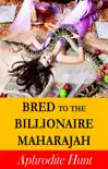 Bred to the Billionaire Maharajah synopsis, comments