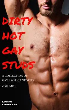 dirty hot gay studs: a collection of gay erotica stories volume 1 book cover image