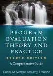 Program Evaluation Theory and Practice sinopsis y comentarios