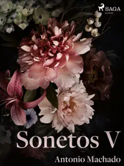 sonetos v imagen de la portada del libro