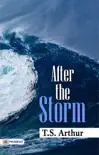 After the Storm sinopsis y comentarios