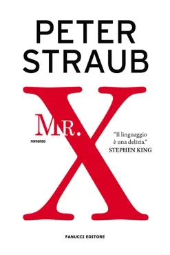 mr. x book cover image