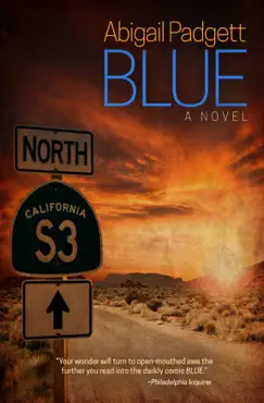 blue book cover image