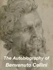 The Autobiography of Benvenuto Cellini synopsis, comments