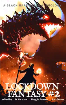 lockdown fantasy #2 book cover image
